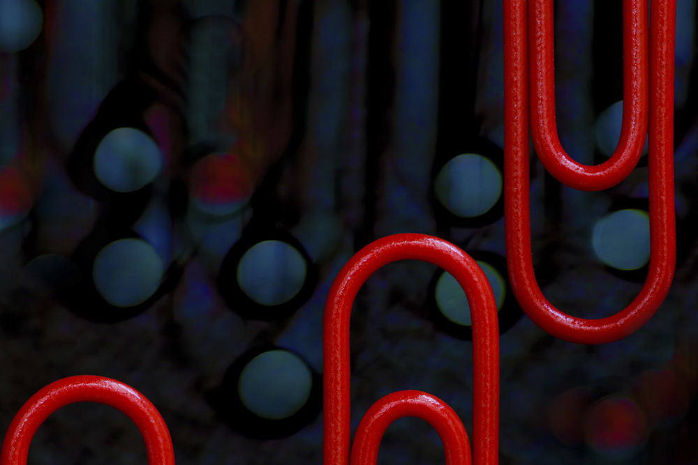 Platz 7 Daniela Korn